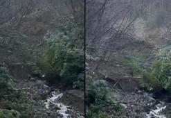 Ormanda çalışan görevliler, heyelanda toprak altında kalmaktan son anda kurtuldu