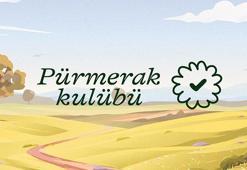 Doğrulama platformu Teyit, sertifikalı eğitim programı başlatıyor