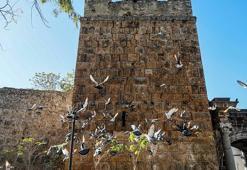 Tarihi Üçkapılar'a 'güvercin dışkısı' zararı