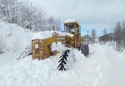 Doğu Karadeniz'de kar; 367 köy yolu kapandı