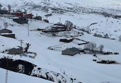 1800 rakımdaki köyde ev ve ahırlar kara gömüldü