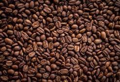 Yerli marka, günlük kahve üretimini 3,5 tonun üzerine çıkardı