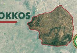 Nijerya’daki silahlı saldırıda ölü sayısı 140’ı geçti