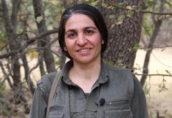MİT, PKK/KCK'nın sözde kadın savunma güçleri komutanını etkisiz hale getirdi