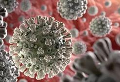 Uzmanından koronavirüse karşı ‘yılbaşı’ uyarısı