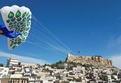 Mardinli tavus kuşu bu kez Hindistan'da uçacak