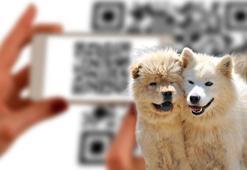 Kedi ve köpekler için istenen kuduz testlerine QR kodlu doğrulama
