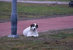 İzmir'de yeni yılın ilk günü sessizlik