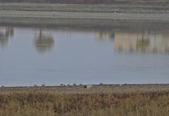 'Binlerce yılda oluşan yer altı suyunu birkaç senede bitirirsek ciddi sorunlar olacak'
