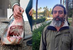 Türk kara sularında köpek balığı popülasyonu 50 yılda yüzde 90 azaldı