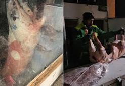 Site otoparkında kaçak kesim 1,5 ton et ele geçirildi