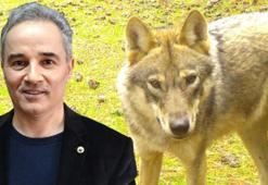 Prof. Dr. Başkaya: Küresel ısınma hayvanlar için bolluk ve berekettir