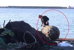 Balıkçıların ağına takılan cisim, ekipleri harekete geçirdi