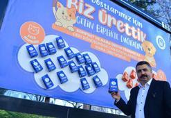 Fabrika ve hastanelerin yemek atıklarından üretilen mamalar, hayvanlar için billboardlara asıldı