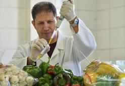 Türkiye'nin meyve, sebze bahçesinin gıda kontrol merkezinde 32 bin analiz