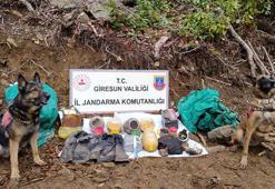 Giresun'da terör örgütünün kullandığı sığınak bulundu