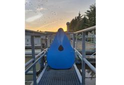 Arıtmada yeni dönem: Atık suların arıtımında mikroorganizmalar kullanılıyor