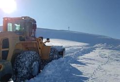 Van'da 86 yerleşim yerinin yolu, kardan kapandı