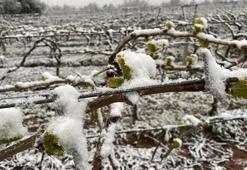 İzmir ve ilçeleri için 'zirai don' uyarısı