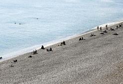 Denizin sıcaklığı havayı geçti; turistler yüzdü