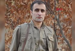 MİT'ten, PKK'ya eleman toplayan teröriste Irak'ta operasyon