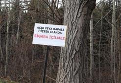 130 üniversite yerleşkesinde açık alanların yüzde 44'ü 'dumansız hava sahası'