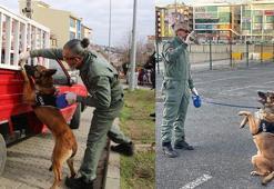 Tekirdağ'ın narkotik köpeği Larissa öldü