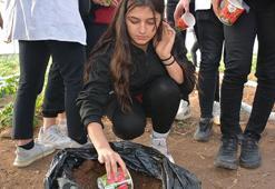 Hollanda Büyükelçiliği’nin gönderdiği lale soğanları, Silopi’de yetiştirilecek