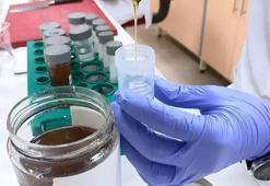 Aroma vericiler için etiket düzenlemesi