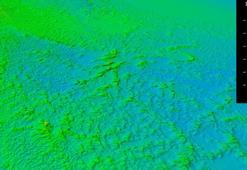 Dünyanın en geniş derin deniz mercan resifinin haritası çıkarıldı