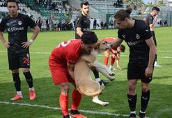 Sahaya giren köpeği futbolcular çıkardı