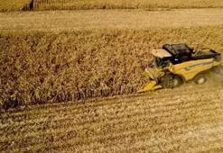 TÜİK: Tarımsal girdi fiyat endeksi kasımda arttı