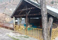 Karabük'te, hayvanların zehirlenerek öldürüldüğü iddiasına soruşturma