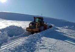 Van'da 429 yerleşim yerinin yolu ulaşıma kapandı