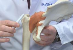 Prof. Dr. Tuncay:  Yılda ortalama 170 bin civarında kalça kırığı vakasıyla karşı karşıya kalıyoruz