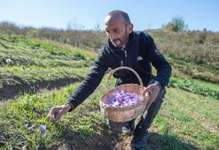İhtisas üniversiteleri marka olmak için yarışıyor