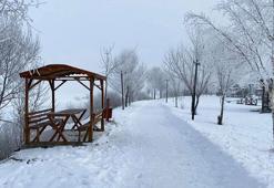 Sibirya soğuklarının etkisindeki Ardahan'da ağaçlar kırağı tuttu