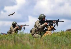 İstanbul'da PKK operasyonu; 10 gözaltı