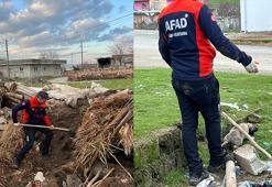 Ahır çöktü; içerdeki 8 yavru köpekten 5'i sağ çıkarıldı