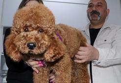 'Bambam'ın tik ve kas hastalığına botoks tedavisi