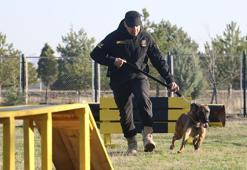 Türk Hava Kuvvetleri'nin hassas burunları
