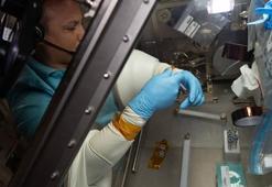 Gezeravcı, biyolojik ve biyoteknolojik deneylere başladı