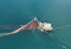 Karadeniz ısınıyor, avlanabilen balık türleri azalıyor