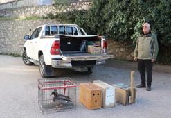 Yabani kuşları yakalayıp satan şüpheliye operasyon