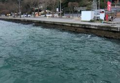 Sarıyer'de intihar girişimi: Denize atlayan kadını kurtarmak için seferber oldular