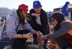 Muğla'da eski maden sahasına 2 bin fidan dikildi