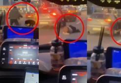 Çekmeköy'de seyir halindeki otomobilden düşen kadını zorla araca bindirdi