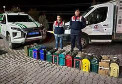 Kanatlı Hayvanları Sevenler ve Sergileyenler Derneği'nde horoz dövüşüne suçüstü