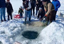 Çıldır Gölü'nde Eskimo usulü balık avı