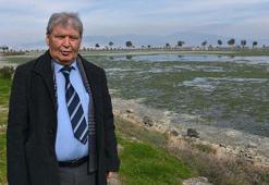 Çakalburnu Lagünü, deniz marulları ile kaplandı; kuş cenneti için uyarı